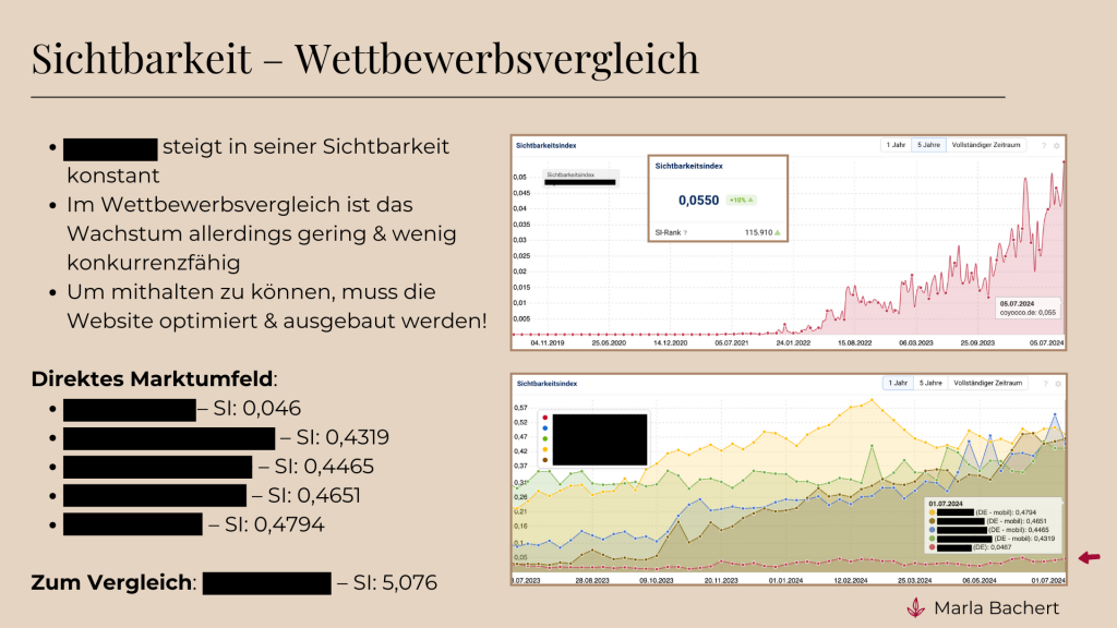Beispiel für einen Teil einer Konkurrenzanalyse: Kunde im Vergleich mit direkter Konkurrenz in Bezug auf die Sichtbarkeit